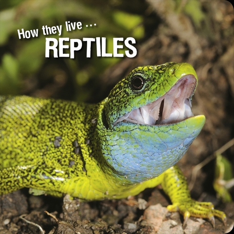 How they live... Reptiles -  Ivan Esenko,  David Withrington