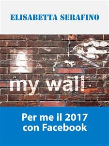 Per me il 2017 con Facebook - Elisabetta Serafino