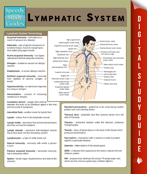 Lymphatic System (Speedy Study Guides) -  Speedy Publishing