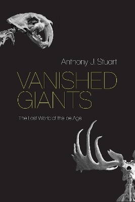 Vanished Giants - Anthony J Stuart