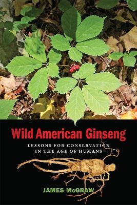 Wild American Ginseng - James McGraw