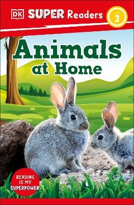 DK Super Readers Level 2 Animals at Home -  Dk