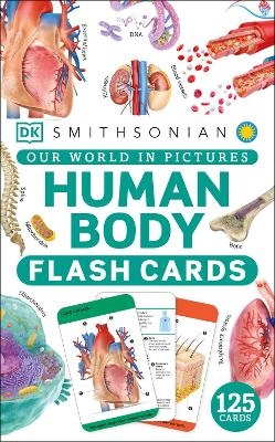 Our World in Pictures Human Body Flash Cards -  Dk