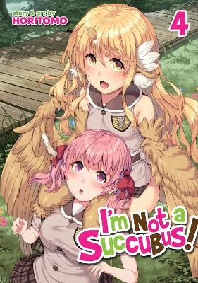 I'm Not a Succubus! Vol. 4 -  Horitomo