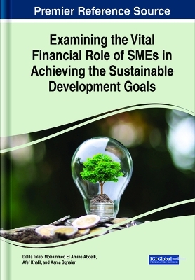 Examining the Vital Financial Role of SMEs in Achieving the Sustainable Development Goals - 