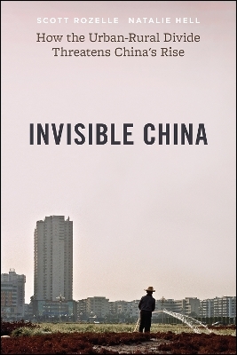 Invisible China - Scott Rozelle, Natalie Hell