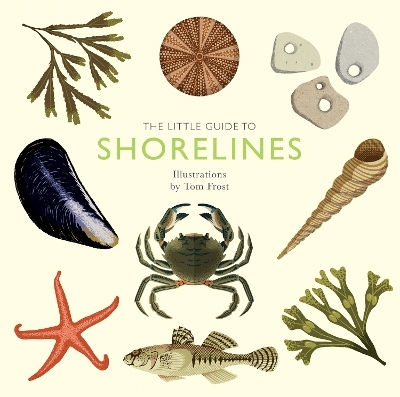 The Little Guide to Shorelines - Alison Davies