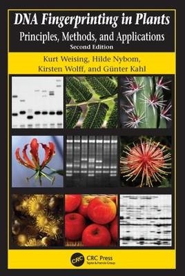 DNA Fingerprinting in Plants - Kurt Weising, Hilde Nybom, Markus Pfenninger, Kirsten Wolff, Günter Kahl