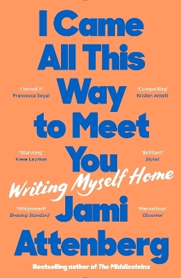 I Came All This Way to Meet You - Jami Attenberg