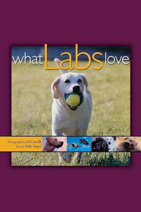 What Labs Love - Ed Camelli