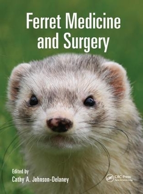 Ferret Medicine and Surgery - 