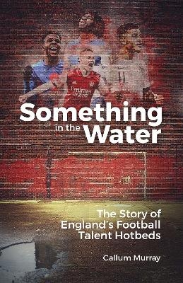 Something in the Water - Callum Murray