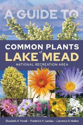 A Guide to Common Plants of Lake Mead National Recreation Area - Elizabeth A. Powell, Frederick H. Landau, Lawrence R. Walker