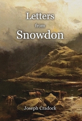 Letters from Snowdon - Joseph Cradock