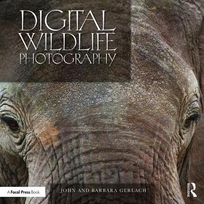 Digital Wildlife Photography - John And Barbara Gerlach