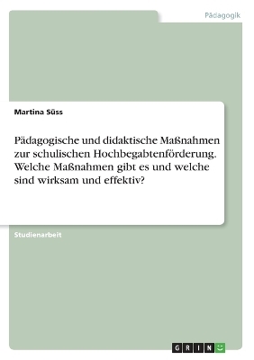 PÃ¤dagogische und didaktische MaÃnahmen zur schulischen HochbegabtenfÃ¶rderung. Welche MaÃnahmen gibt es und welche sind wirksam und effektiv? - Martina SÃ¼ss