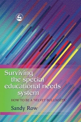 Surviving the Special Educational Needs System - Sandy Row