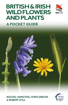 British and Irish wild flowers and plants - Rachel Hamilton, Chris Gibson, Robert Still