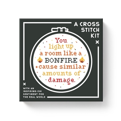 You Light Up A Room Cross Stitch Kit -  Brass Monkey,  Galison