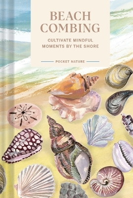 Pocket Nature: Beachcombing - Sadie Small