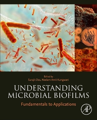 Understanding Microbial Biofilms - 