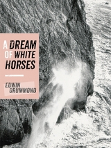 A Dream of White Horses -  Edwin Drummond