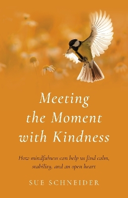 Meeting the Moment with Kindness - Sue Schneider