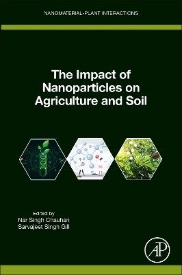 The Impact of Nanoparticles on Agriculture and Soil - 