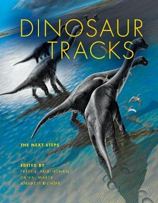 Dinosaur Tracks - 