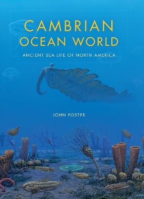 Cambrian Ocean World - John Foster