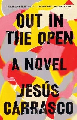 Out in the Open - Jesús Carrasco