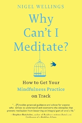 Why Can't I Meditate? - Nigel Wellings