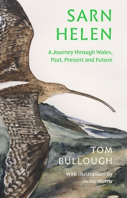 Sarn Helen - Tom Bullough