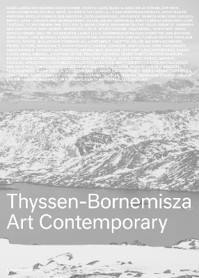 Thyssen-Bornemisza Art Contemporary - 