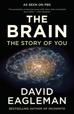 The Brain - David Eagleman