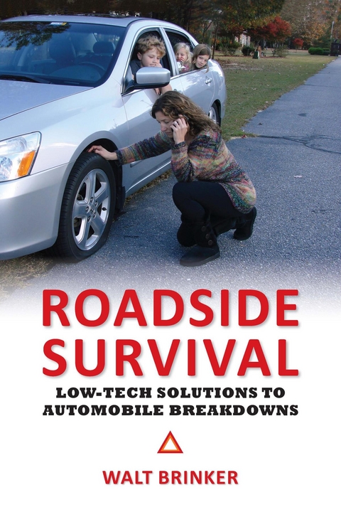 Roadside Survival -  Walter Evans Brinker