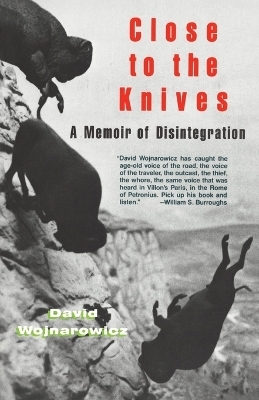 Close to the Knives - David Wojnarowicz