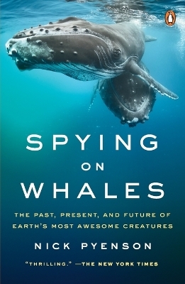 Spying on Whales - Nick Pyenson