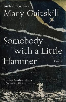 Somebody with a Little Hammer - Mary Gaitskill