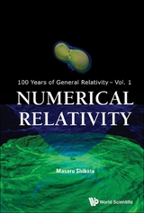 NUMERICAL RELATIVITY - Masaru Shibata