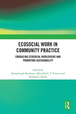 Ecosocial Work in Community Practice - 