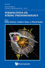 Perspectives On String Phenomenology - 