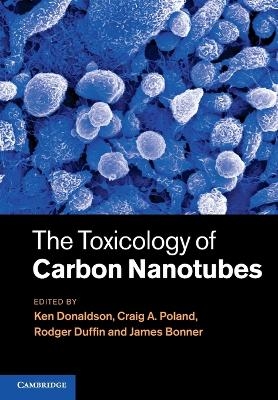 The Toxicology of Carbon Nanotubes - 