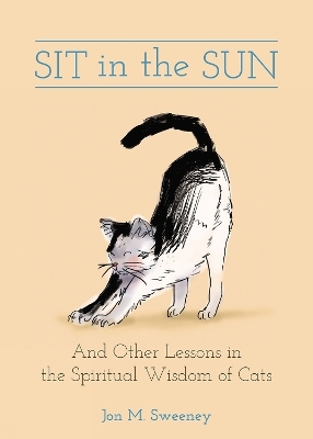 Sit in the Sun - Jon M. Sweeney