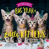 Kitten Lady's Big Year of Little Kittens 2022 Wall Calendar - Shaw, Hannah