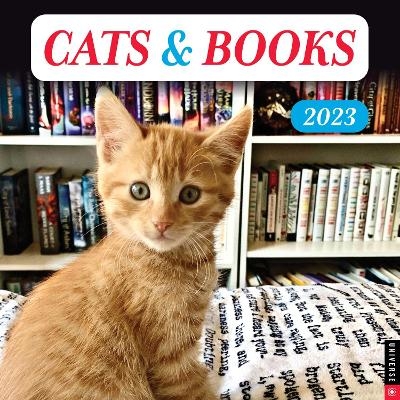 Cats & Books 2023 Wall Calendar -  Universe Publishing