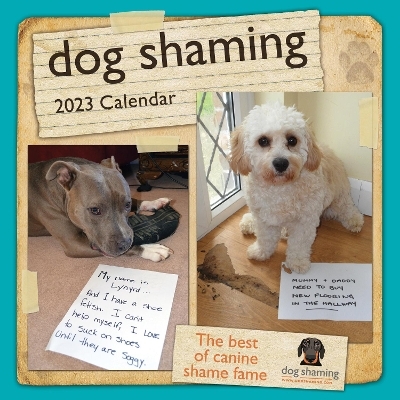 Dog Shaming 2023 Mini Wall Calendar - Pascale Lemire,  Dogshaming.com