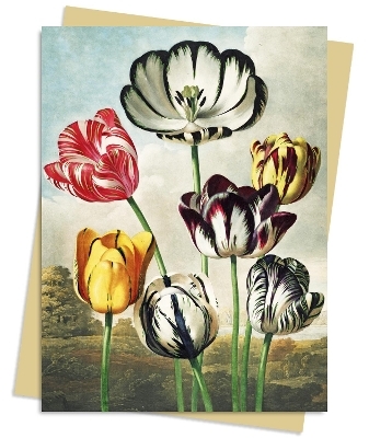 Temple of Flora: Tulips Greeting Card Pack - 