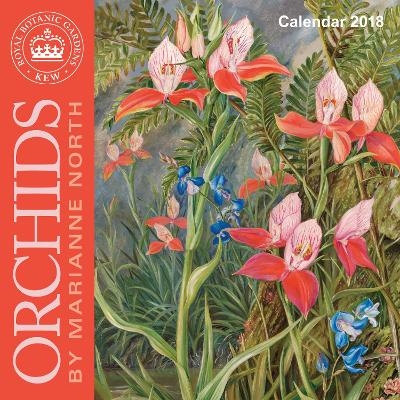 Kew Gardens - Orchids by Marianne North - mini wall calendar 2018 (Art Calendar) - 