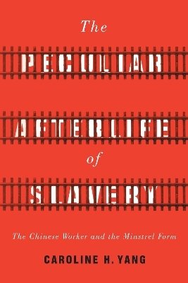 The Peculiar Afterlife of Slavery - Caroline H. Yang